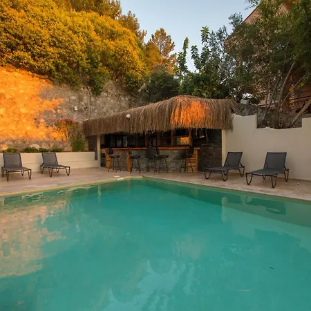 Mercan Exclusive 페티예